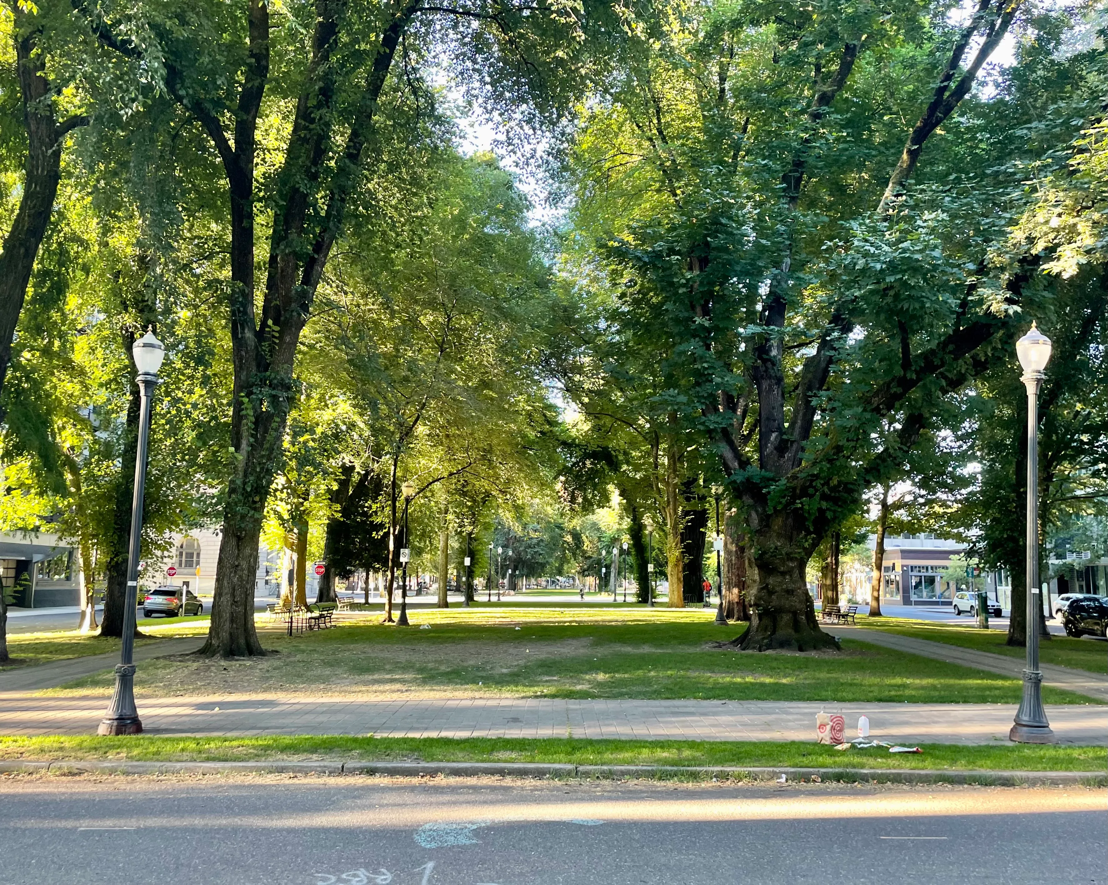 North Park Blocks park—bucolic but filled with trash