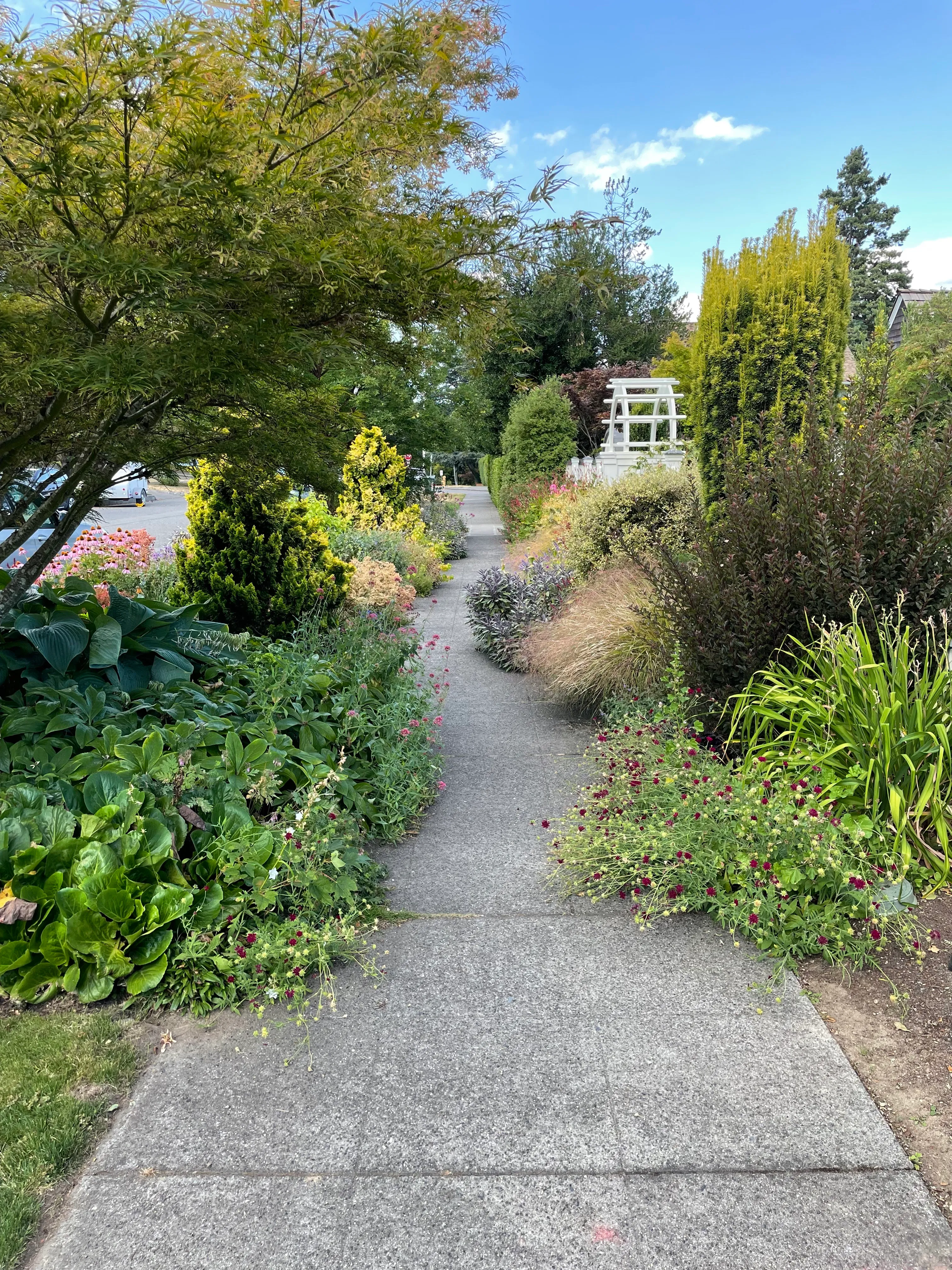 Madrona—a nice neighborhood if you can afford it